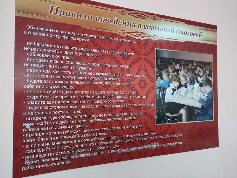 Правила поведения в школьной столовой Правила поведения в школьной столовой
