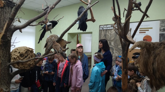 Заповедник «Стрелецкая степь» Заповедник «Стрелецкая степь».